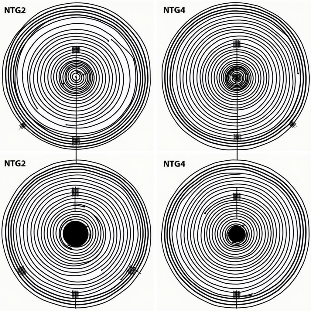 Biểu Đồ Hướng Thu Rode NTG2 Và NTG4