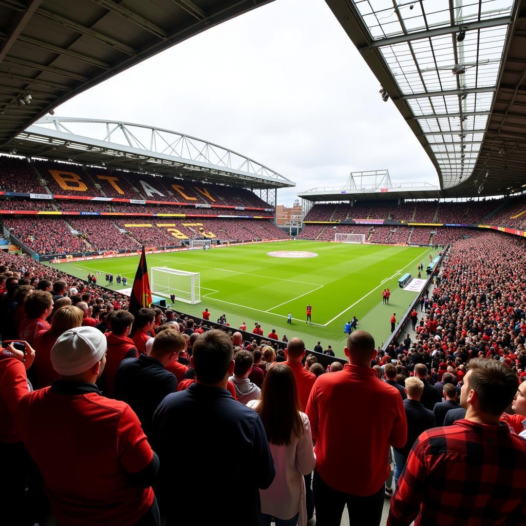 Cổ động viên Brentford vs Watford