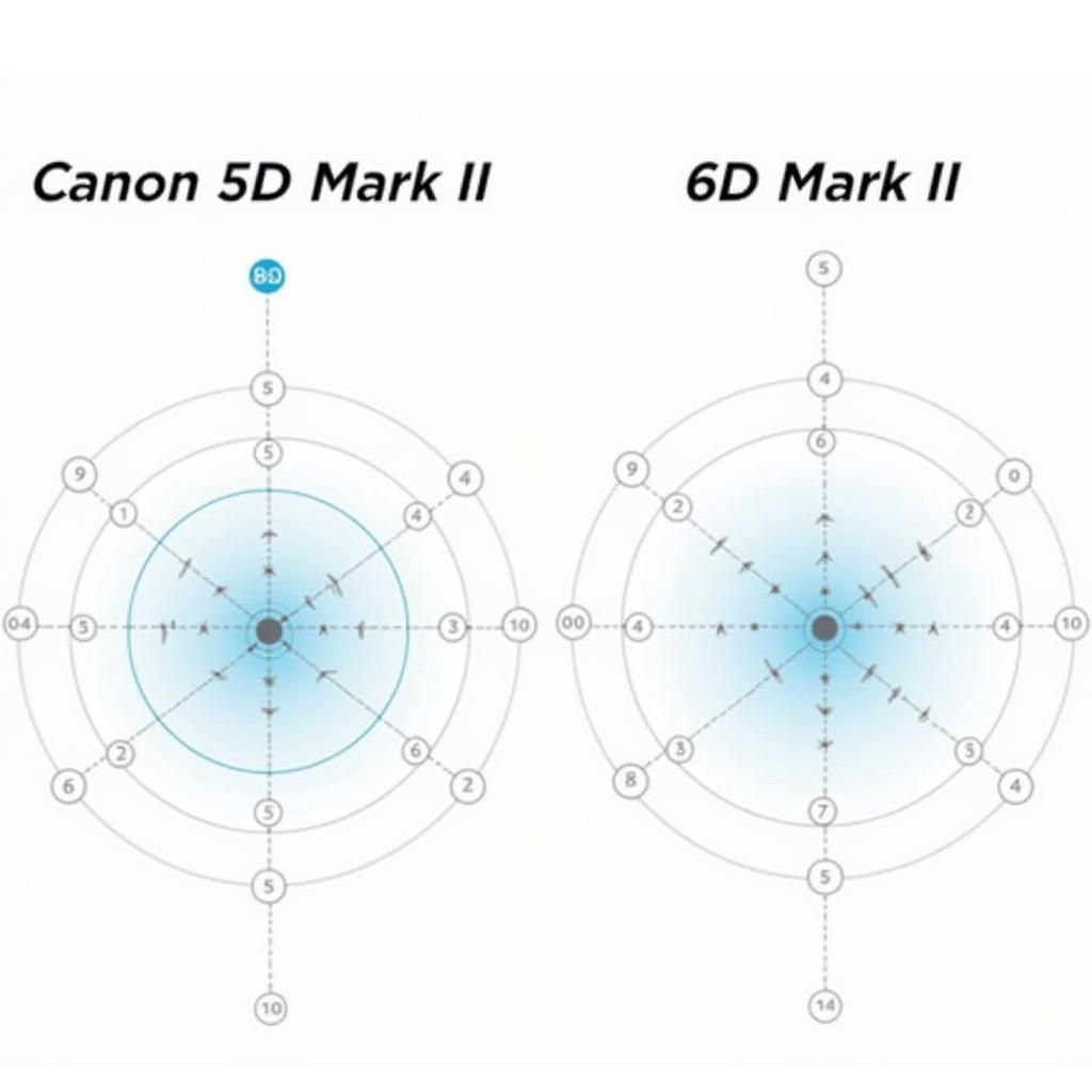 Canon 5D3 vs 6D2: Hệ thống lấy nét