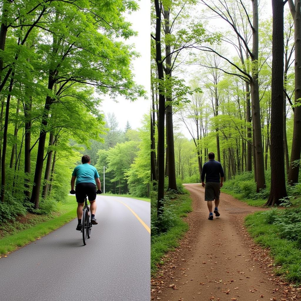 Cycling vs Walking Terrain