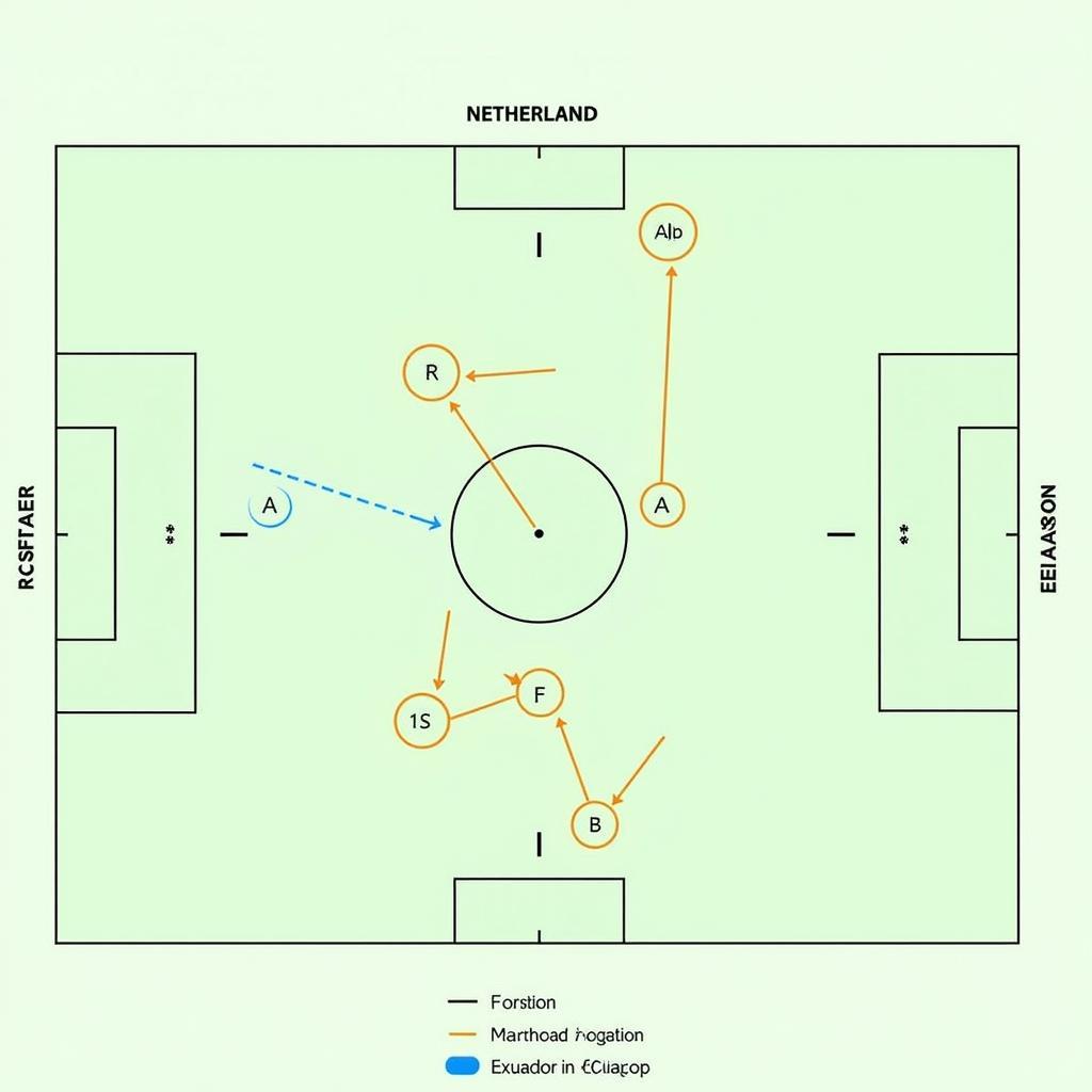 Chiến Thuật Hà Lan vs Ecuador