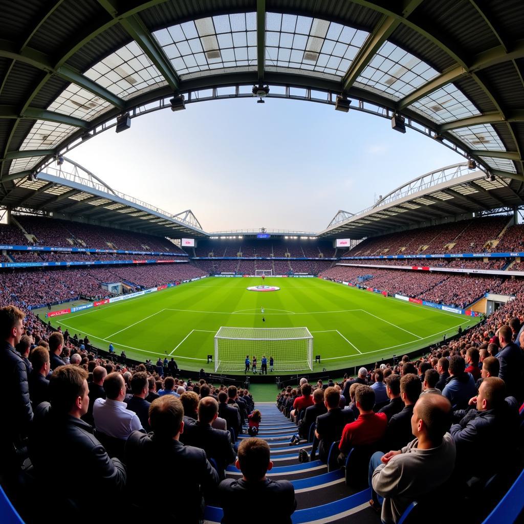 Sân Selhurst Park - Ngôi nhà của Crystal Palace