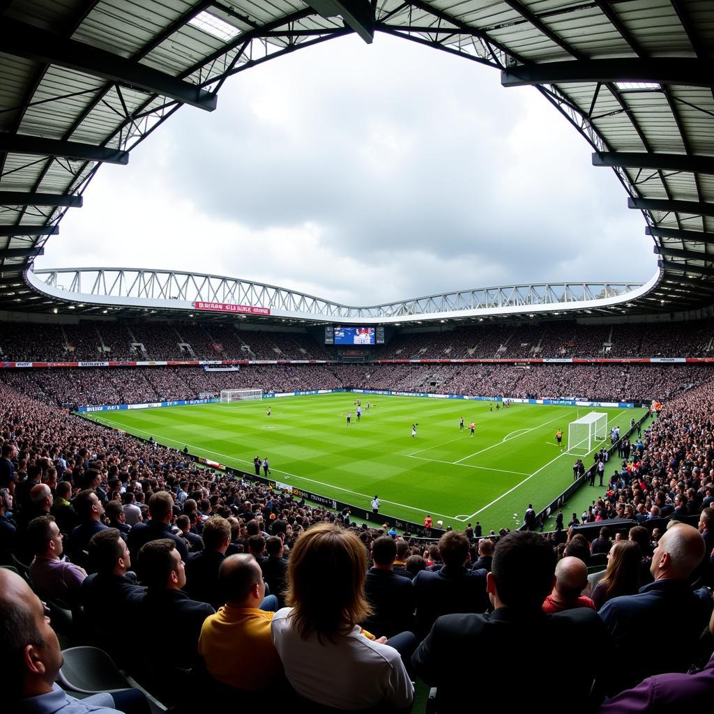 Newcastle vs MU - Hình ảnh 2