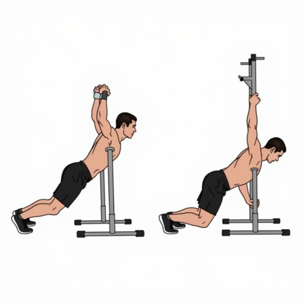 Kỹ thuật thực hiện Bent Over Rows