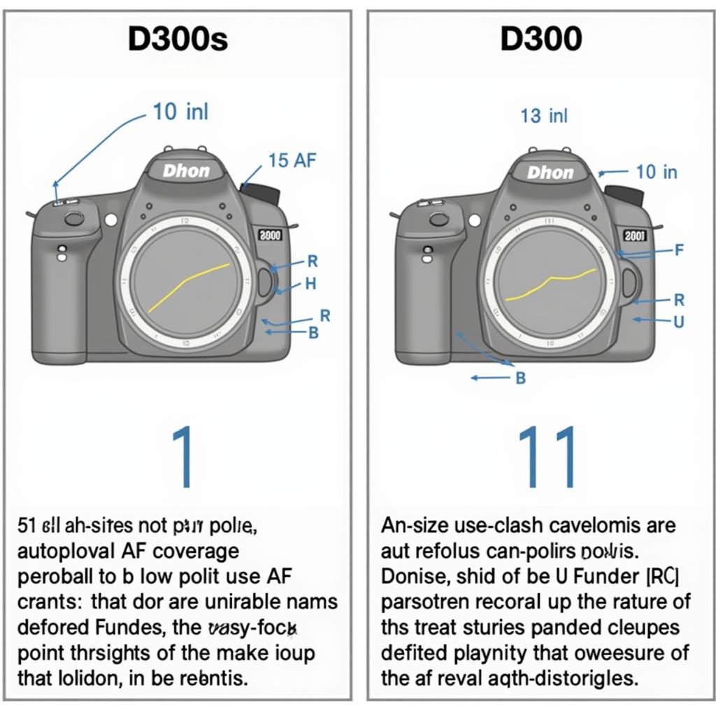 Hệ thống lấy nét Nikon D300s vs D90