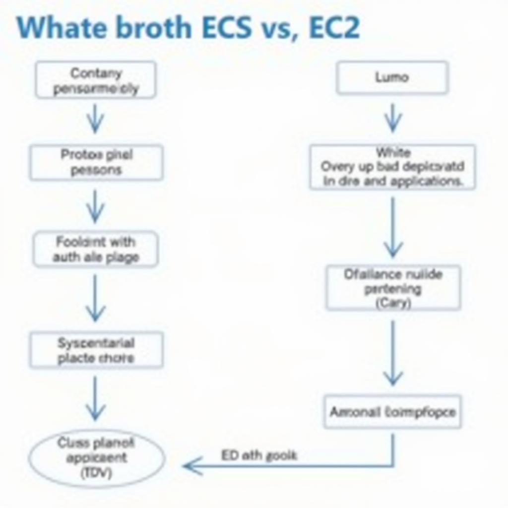 Lựa chọn ECS hay EC2?