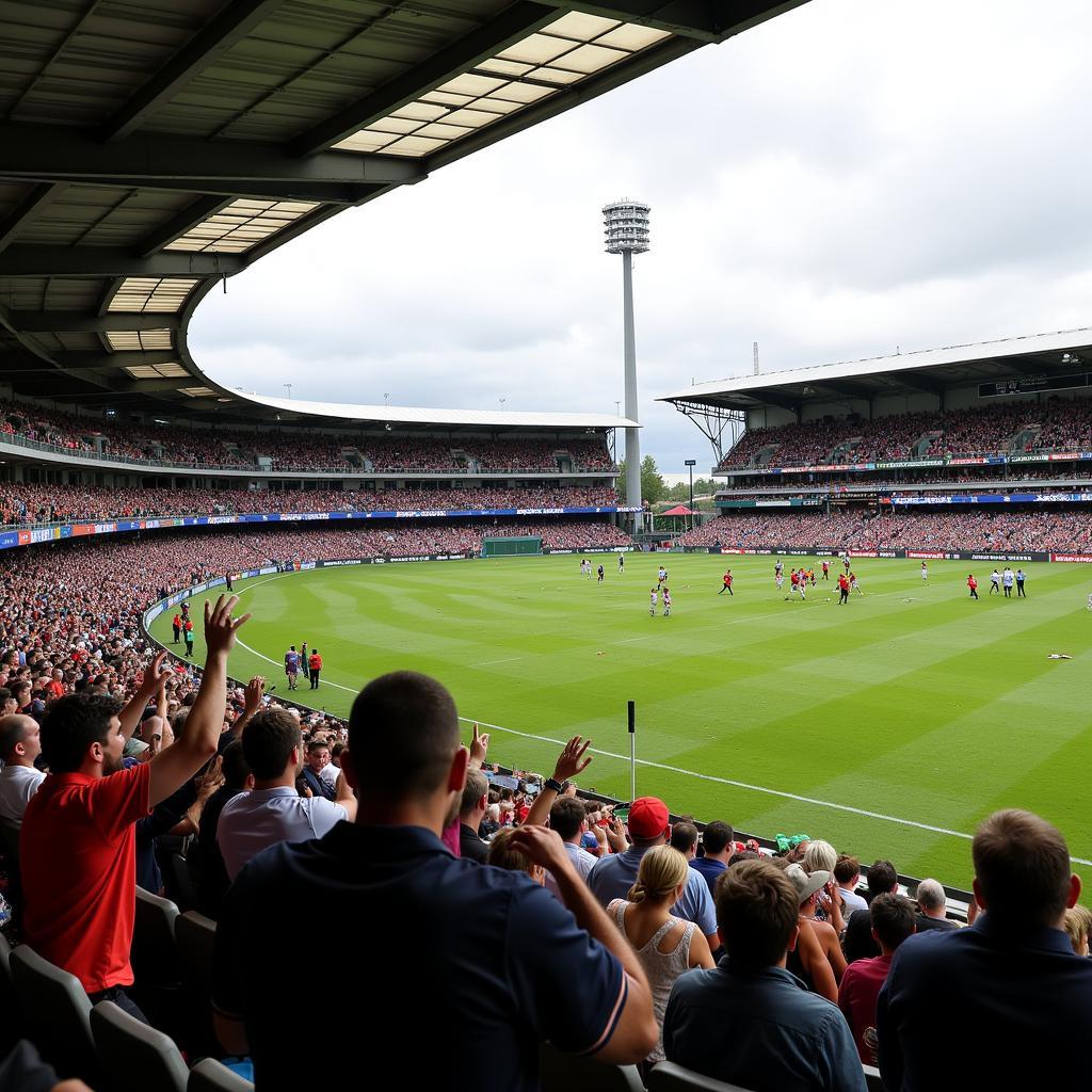 Melbourne Derby: Khán Giả Cổ Vũ Kịch Tính