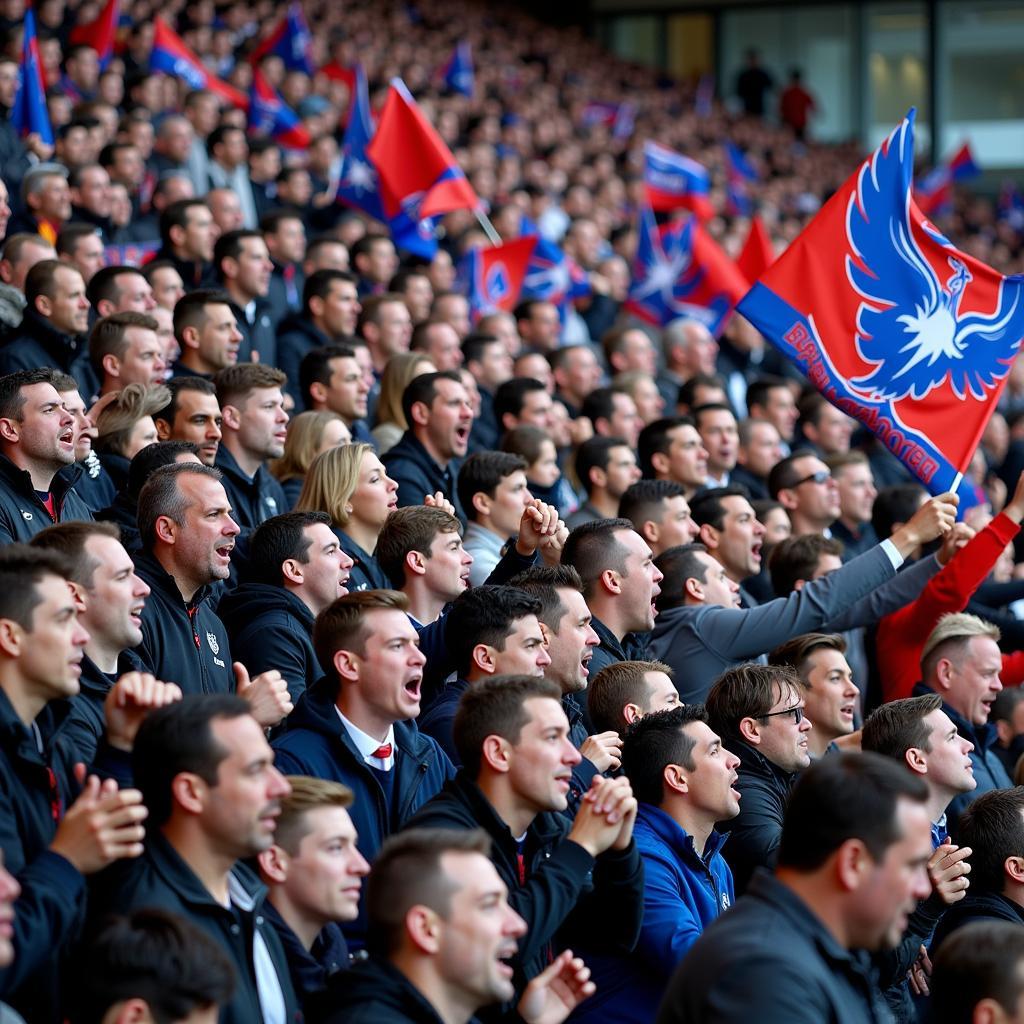 Newcastle vs Crystal Palace: Khán giả sôi động