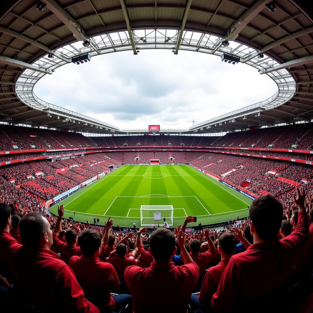 Sân nhà Bay Arena