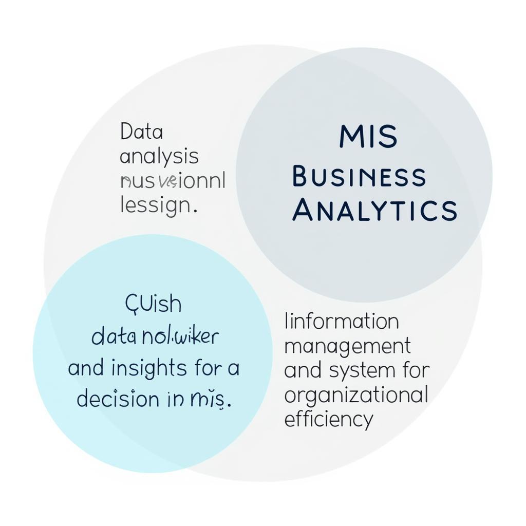 Sự khác biệt giữa Business Analytics và MIS