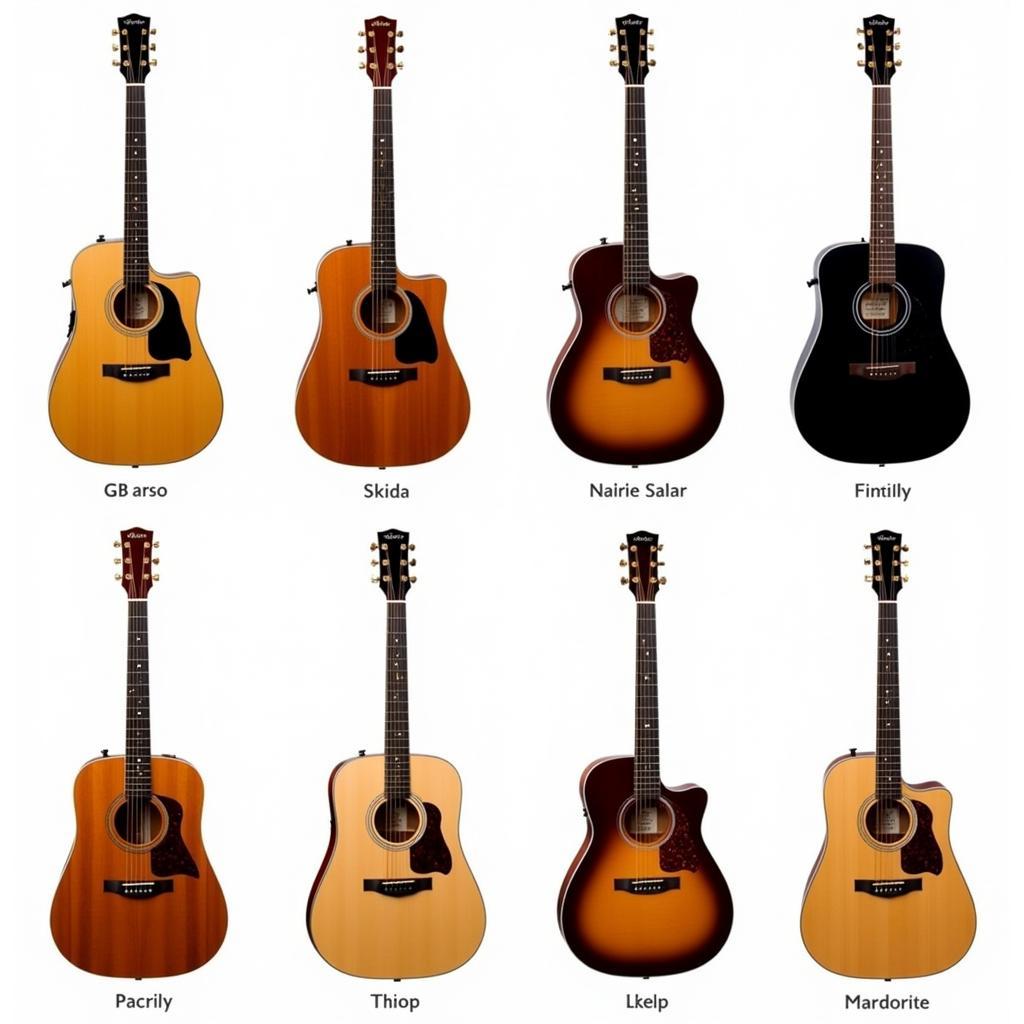 Sự đa dạng của Takamine G Series