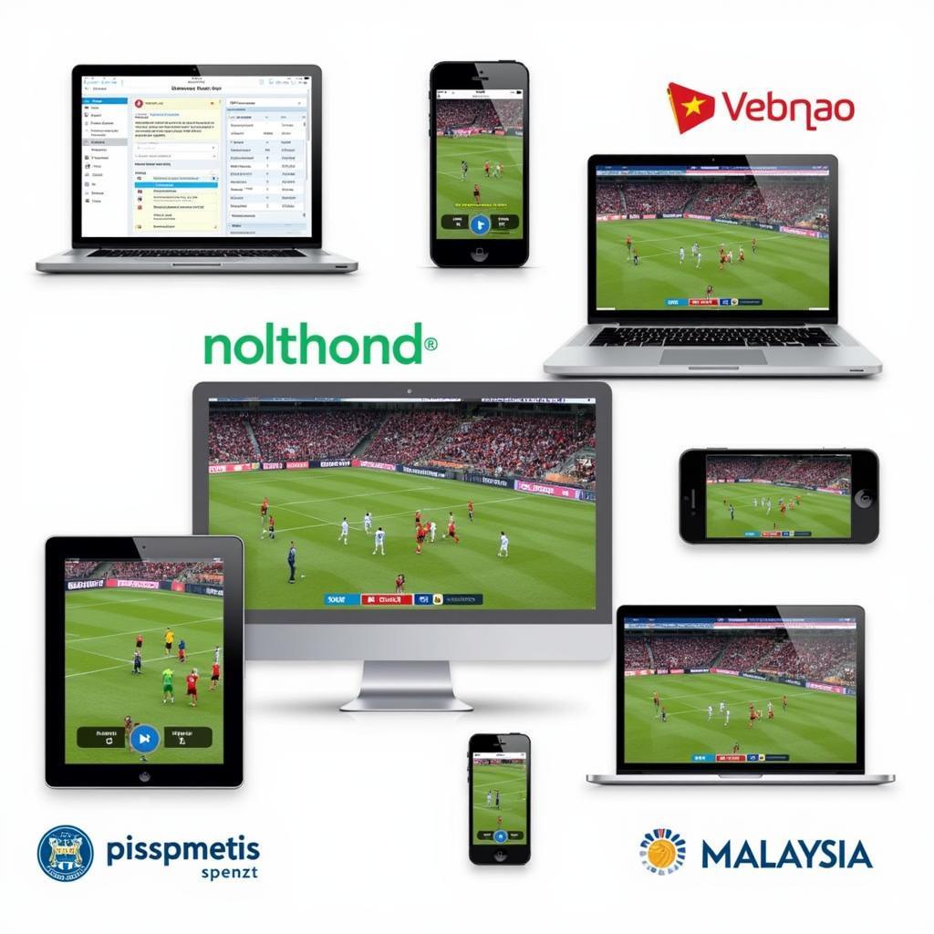 Xem bóng đá Việt Nam vs Malaysia trực tiếp online