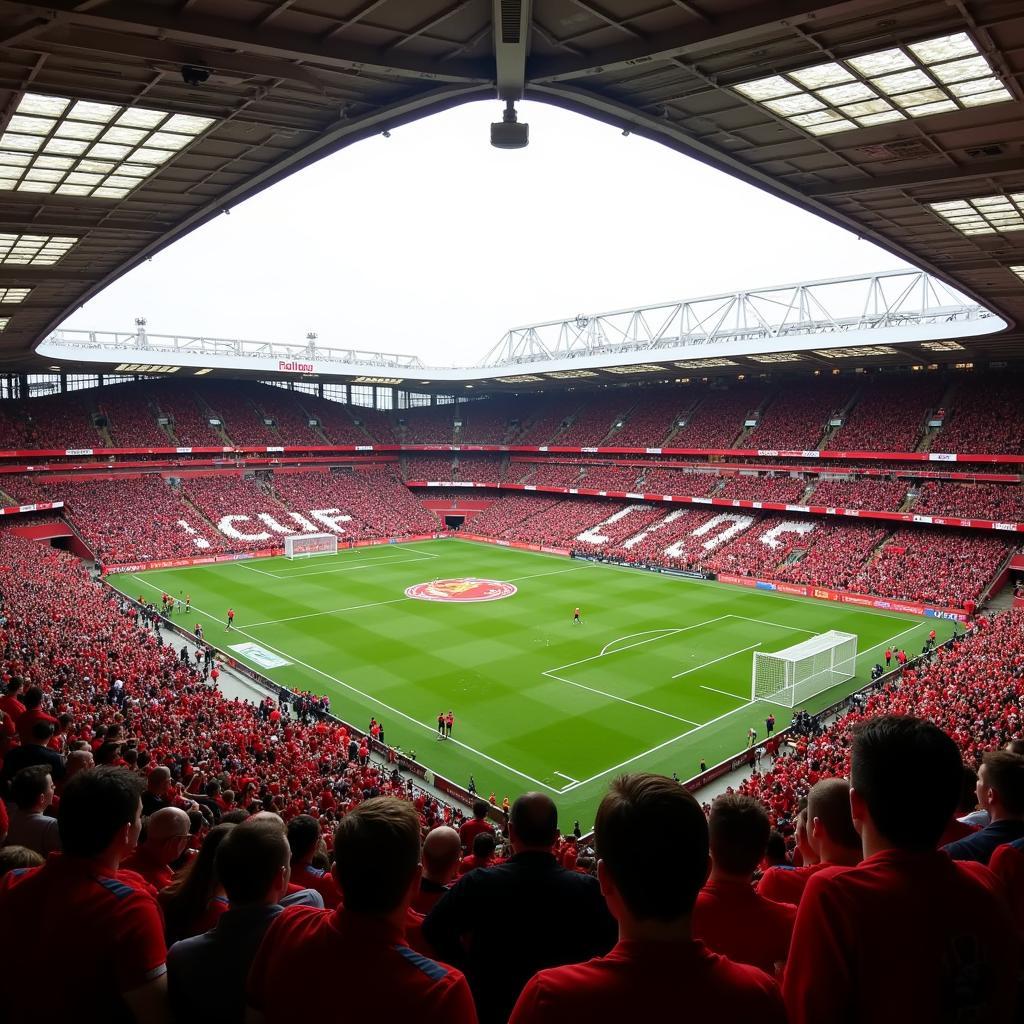 Trận đấu Liverpool vs Arsenal 2014 tại Anfield