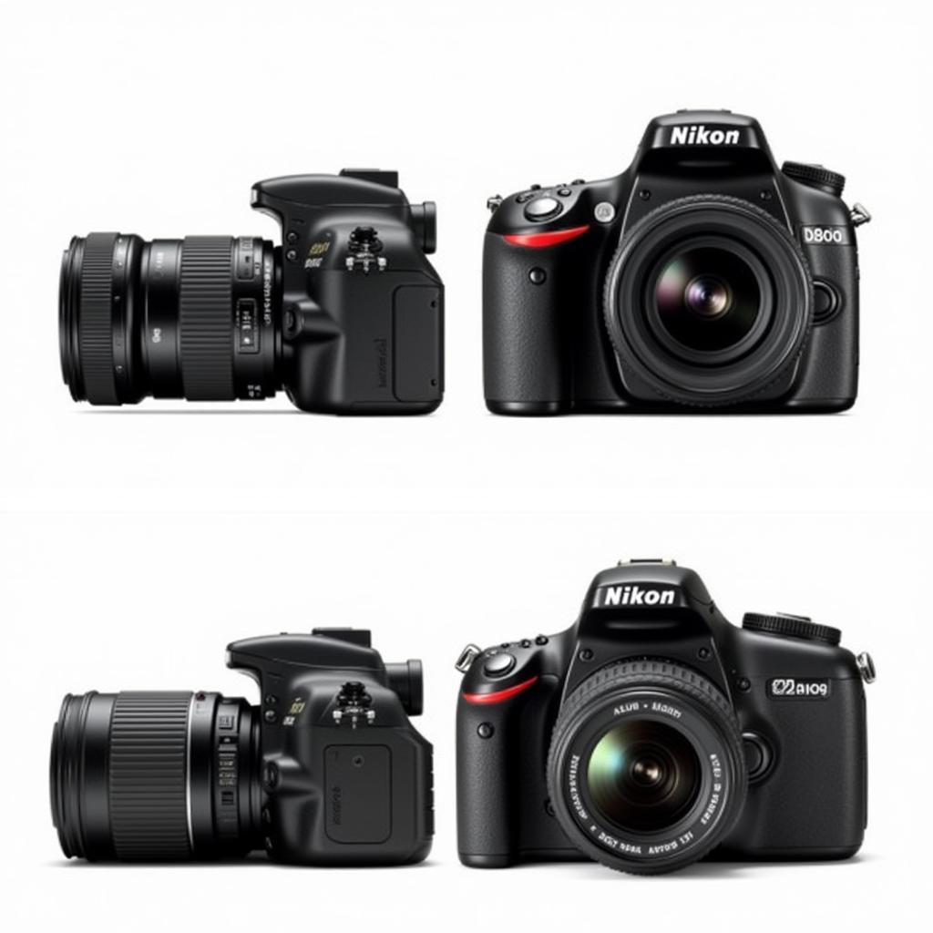 Nikon D80 và D90 so sánh thiết kế