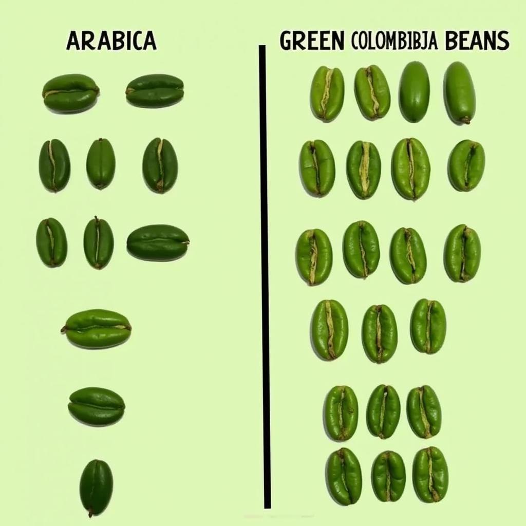 Comparing Arabica and Colombian Coffee Beans