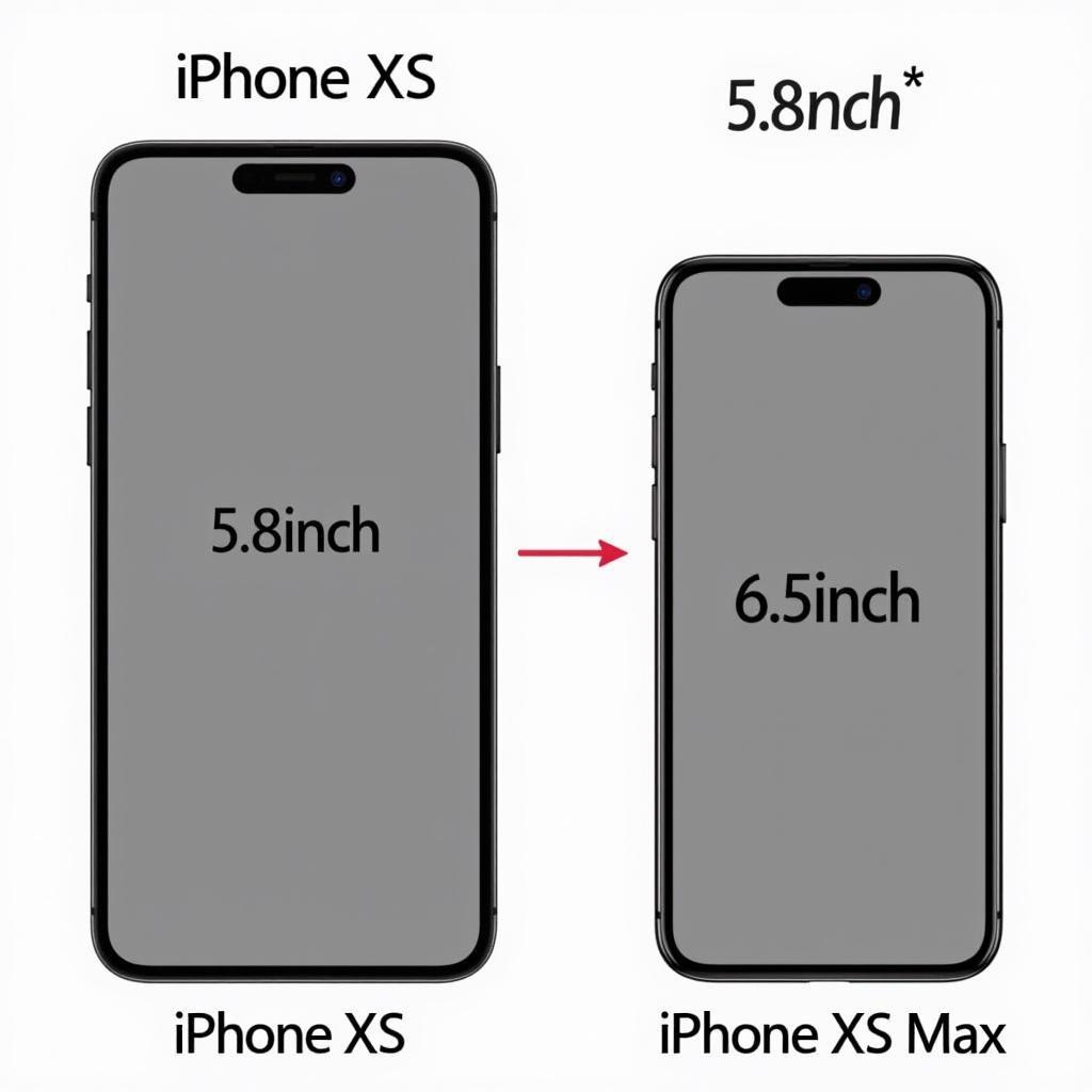 So sánh kích thước màn hình iPhone XS và XS Max