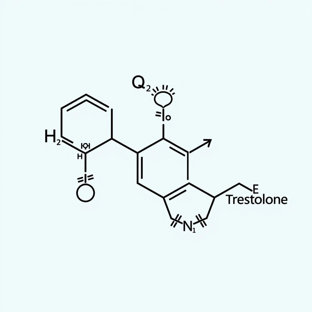 Cấu trúc phân tử của Trestolone