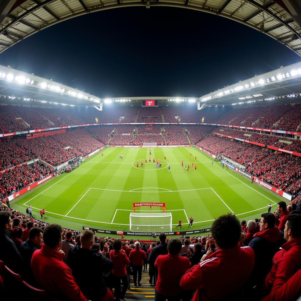 Bristol City chiến thắng tại Ashton Gate