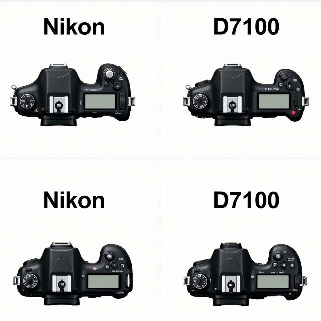 Thiết kế của Nikon D7000 và D7100