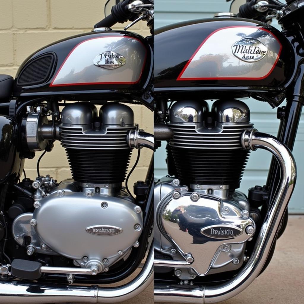 So sánh động cơ Triumph Thruxton R và RS