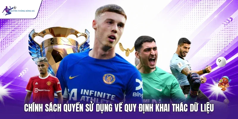 Chính sách quyền sử dụng về quy định khai thác dữ liệu