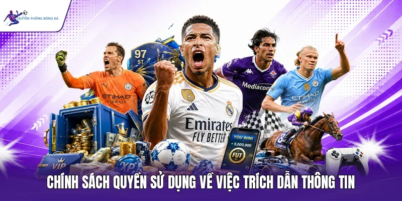 Chính sách quyền sử dụng về việc trích dẫn thông tin