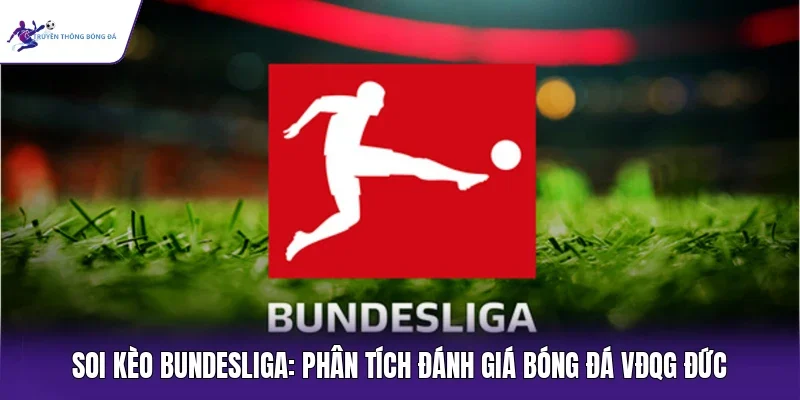 Soi kèo Bundesliga