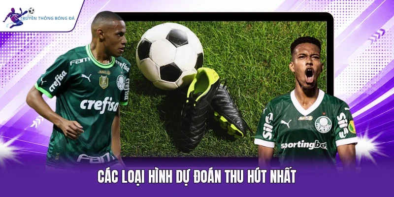 Các loại hình dự đoán thu hút nhất