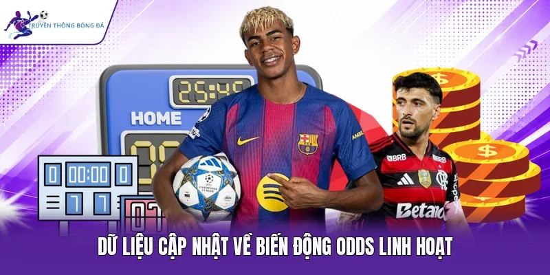 Dữ liệu cập nhật về biến động odds linh hoạt