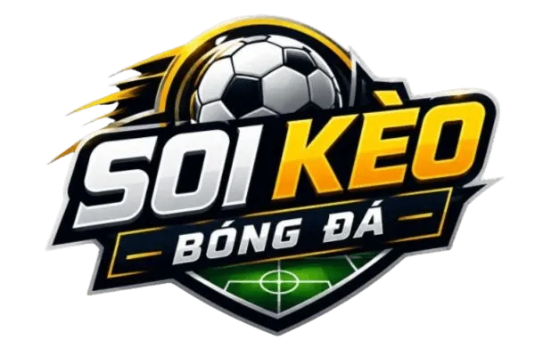 truyenthongbongda.com