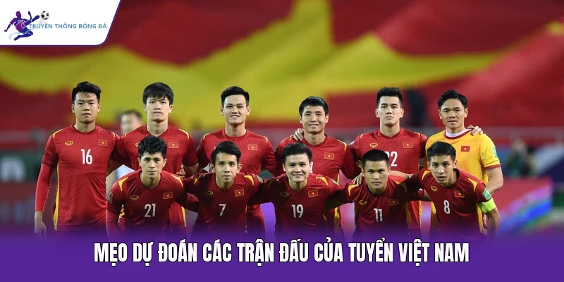 Mẹo dự đoán các trận đấu của tuyển Việt Nam