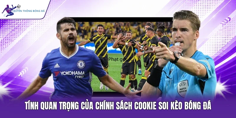 Tính quan trọng của chính sách cookie soi kèo bóng đá