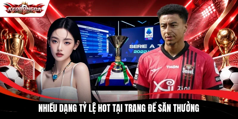 Nhiều dạng tỷ lệ hot tại trang để săn thưởng