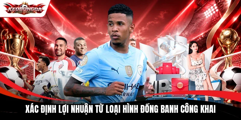 Xác định lợi nhuận từ loại hình đồng banh công khai